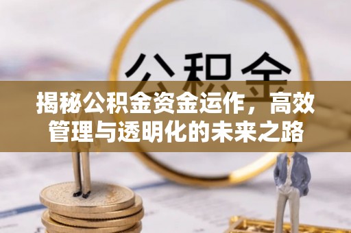 兴义揭秘公积金资金运作，高效管理与透明化的未来之路