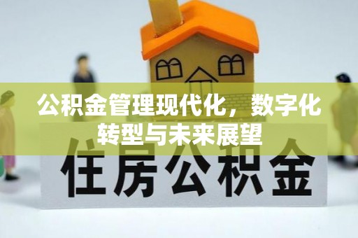 兴义公积金管理现代化，数字化转型与未来展望
