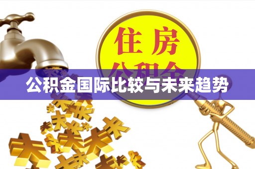 兴义公积金国际比较与未来趋势