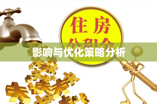 兴义影响与优化策略分析