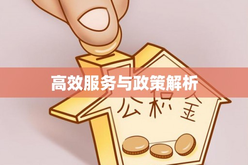 兴义高效服务与政策解析