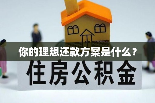 兴义你的理想还款方案是什么？