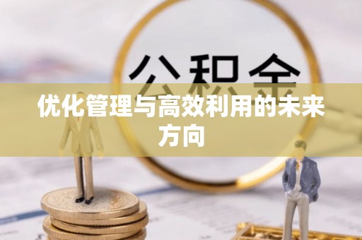 兴义优化管理与高效利用的未来方向
