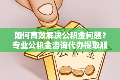 兴义如何高效解决公积金问题？专业公积金咨询代办提取服务来帮你
