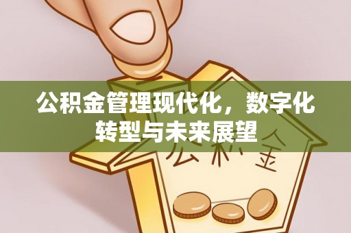 兴义公积金管理现代化，数字化转型与未来展望
