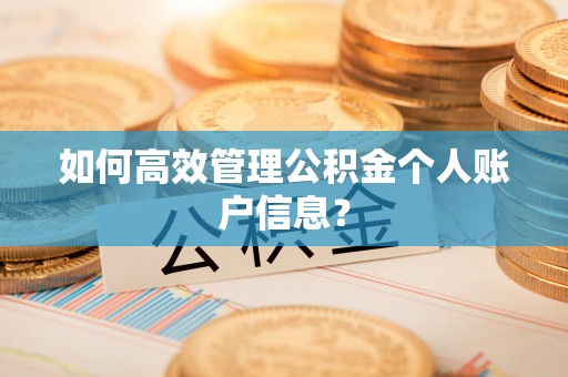 兴义如何高效管理公积金个人账户信息？
