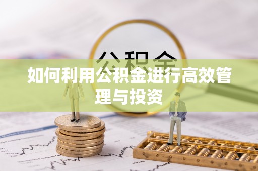 兴义如何利用公积金进行高效管理与投资