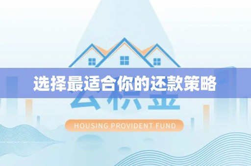 兴义选择最适合你的还款策略