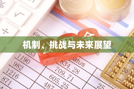 兴义机制、挑战与未来展望